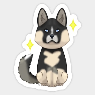 Agouti siberian husky Sticker